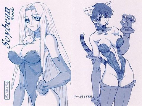 【完全無料】Soybean｜d_023451