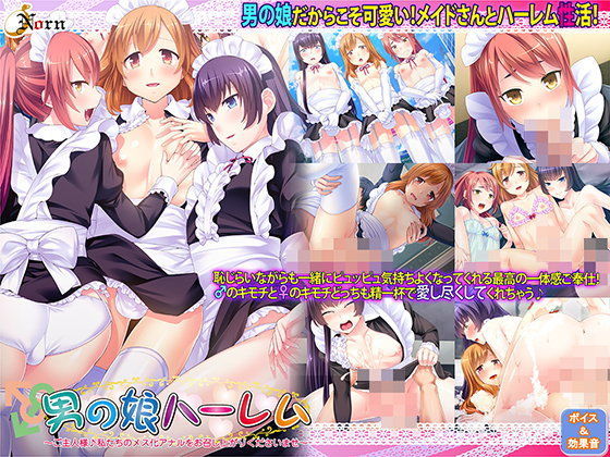 【完全無料】男の娘ハーレム〜ご主人様♪私たちのメス化アナルをお召し上がりくださいませ〜｜d_090113