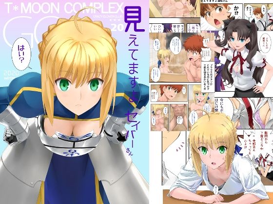 【完全無料】見えてますよセイバーさん｜d_274419