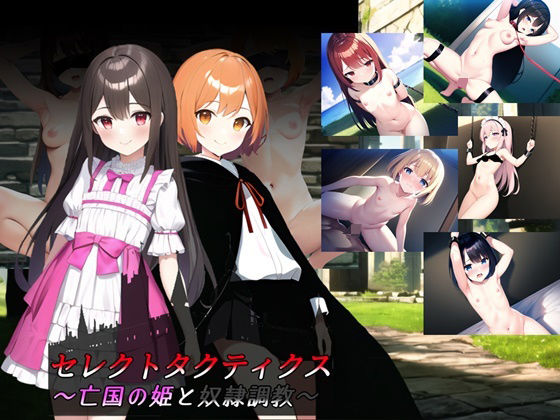 【完全無料】セレクトタクティクス 〜亡国の姫と奴●調教〜｜d_478774
