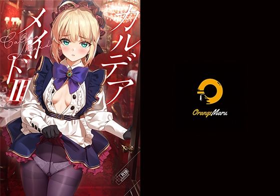 【完全無料】カルデアメイド3｜d_211313