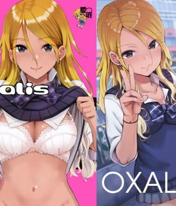 【完全無料】oxalis｜d_177723